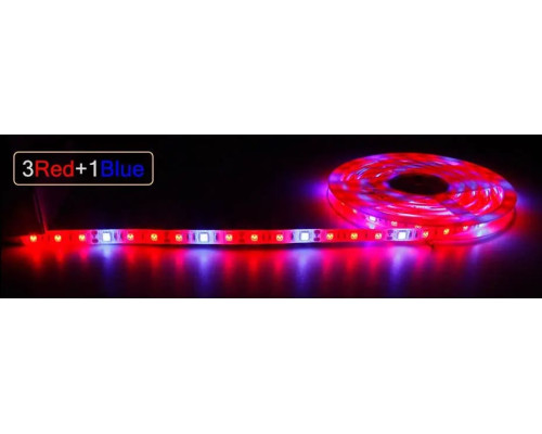 Світлодіодна фітолента повного спектру для рослин, USB, 2835 SMD, DC5V