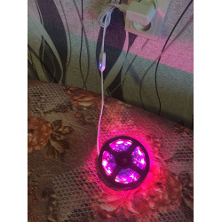 Светодиодная фитолента для выращивания растений, USB, 2835 SMD, DC5V